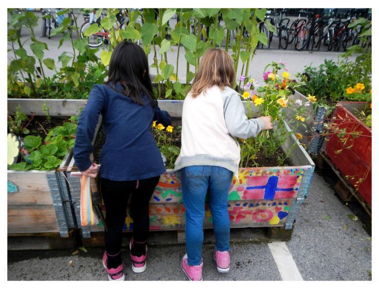 Barn som planter blomster - Klikk for stort bilde