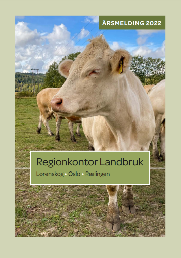 Ku avbildet på forsiden av årsmeldingen for Regionkontor Landbruk - Klikk for stort bilde